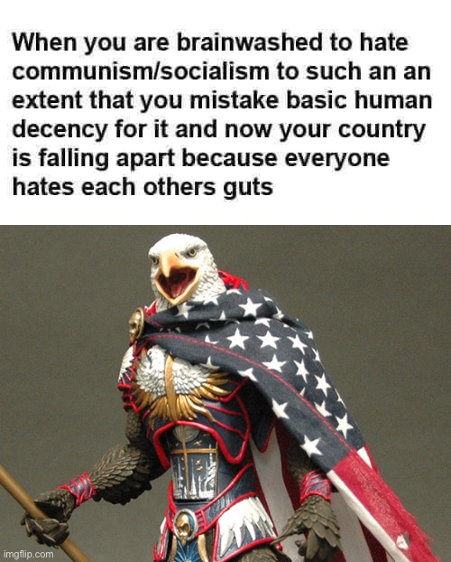 image tagged in bald eagle,america,socialism,communism | made w/ Imgflip meme maker
