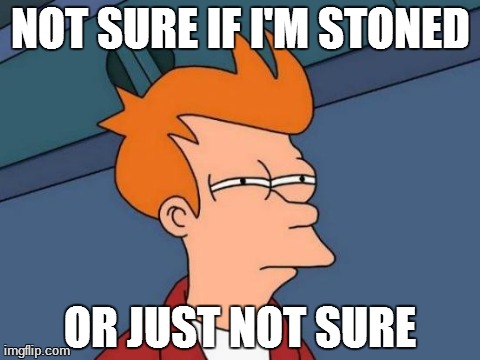 Futurama Fry | NOT SURE IF I'M STONED OR JUST NOT SURE | image tagged in memes,futurama fry | made w/ Imgflip meme maker