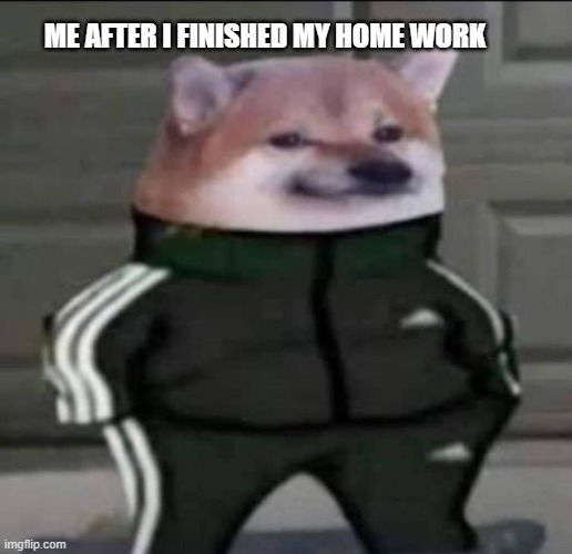 aww | ME AFTER I FINISHED MY HOME WORK | image tagged in slav doge | made w/ Imgflip meme maker