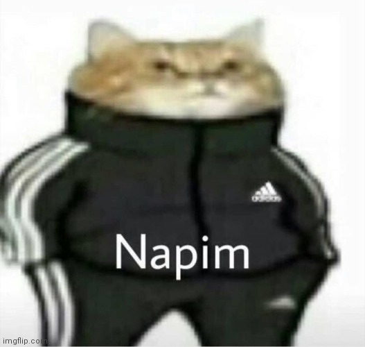 Napim | image tagged in napim | made w/ Imgflip meme maker