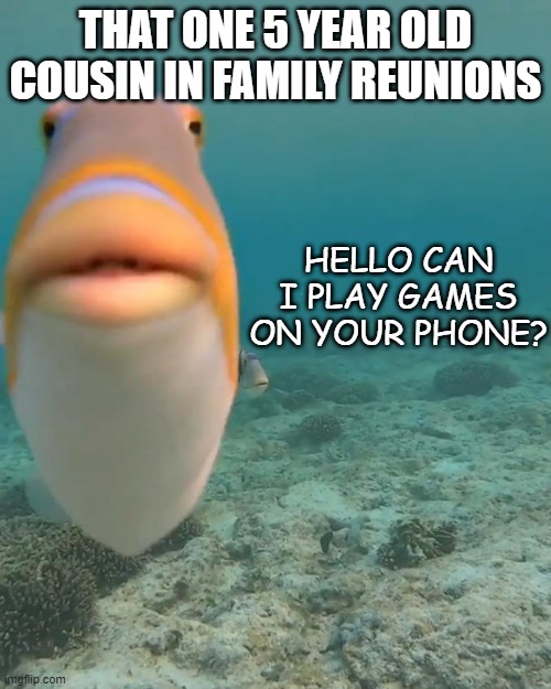 *Casually approach child* | THAT ONE 5 YEAR OLD COUSIN IN FAMILY REUNIONS; HELLO CAN I PLAY GAMES ON YOUR PHONE? | image tagged in staring fish | made w/ Imgflip meme maker