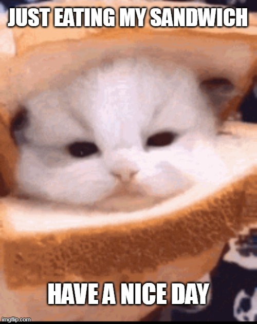 Have a nice day | JUST EATING MY SANDWICH; HAVE A NICE DAY | image tagged in memes,cats,sandwich | made w/ Imgflip meme maker