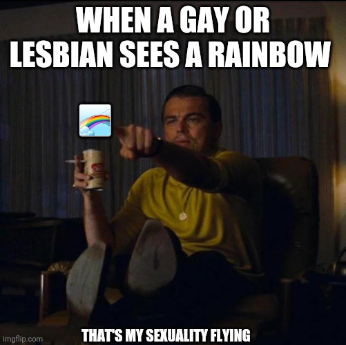 I'm in the sky | WHEN A GAY OR LESBIAN SEES A RAINBOW; 🌈; THAT'S MY SEXUALITY FLYING | image tagged in gay meme,anti-gay,anti,lol,funny memes | made w/ Imgflip meme maker