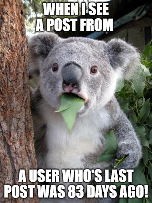 time fly's | WHEN I SEE A POST FROM; A USER WHO'S LAST POST WAS 83 DAYS AGO! | image tagged in memes,surprised koala | made w/ Imgflip meme maker