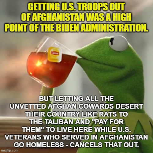 But That's None Of My Business Meme | GETTING U.S. TROOPS OUT OF AFGHANISTAN WAS A HIGH POINT OF THE BIDEN ADMINISTRATION. BUT LETTING ALL THE UNVETTED AFGHAN COWARDS DESERT THEI | image tagged in memes,but that's none of my business,kermit the frog | made w/ Imgflip meme maker