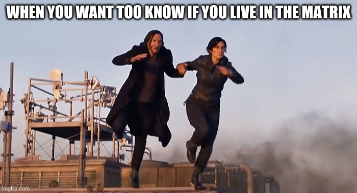 The matrix dumbed | WHEN YOU WANT TOO KNOW IF YOU LIVE IN THE MATRIX | image tagged in the matrix ressurections,neo,trinity | made w/ Imgflip meme maker