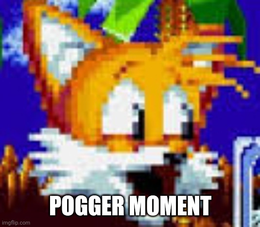 Pogger moment | POGGER MOMENT | image tagged in pog,poggers,tails the fox,tails | made w/ Imgflip meme maker