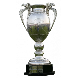 High Quality Cupa Romaniei Trophy Blank Meme Template