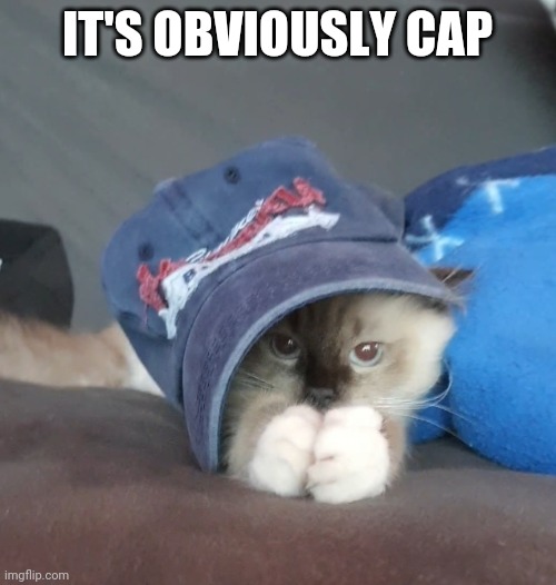 IT'S OBVIOUSLY CAP | image tagged in cat | made w/ Imgflip meme maker