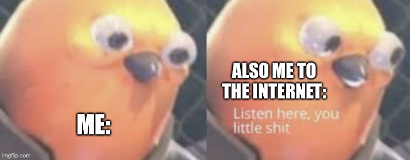 Listen here you little shit bird | ALSO ME TO THE INTERNET: ME: | image tagged in listen here you little shit bird | made w/ Imgflip meme maker