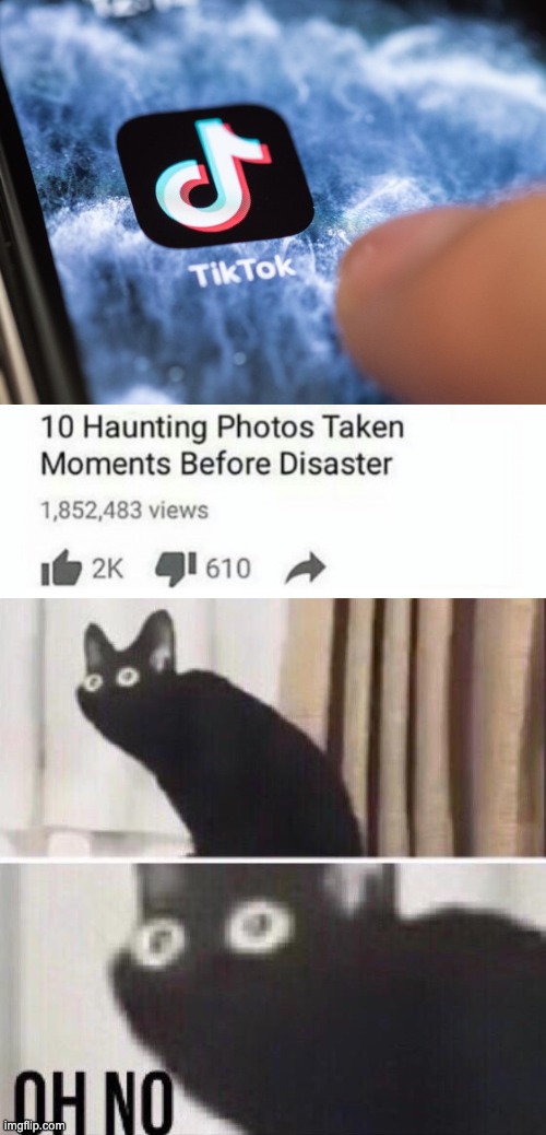 Oh frick! | image tagged in 10 moments before disaster,oh no cat | made w/ Imgflip meme maker