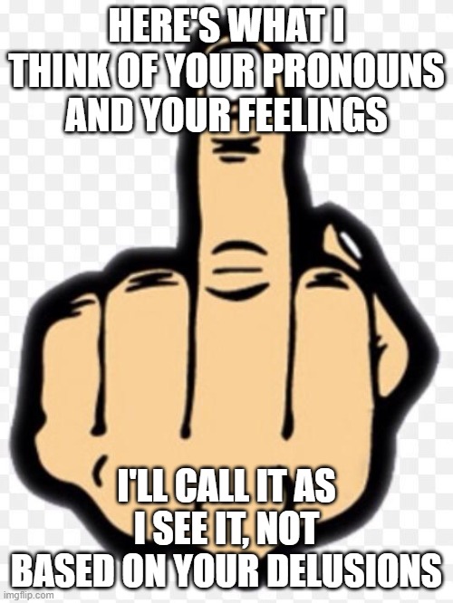 middle finger | HERE'S WHAT I THINK OF YOUR PRONOUNS AND YOUR FEELINGS; I'LL CALL IT AS I SEE IT, NOT BASED ON YOUR DELUSIONS | image tagged in middle finger | made w/ Imgflip meme maker