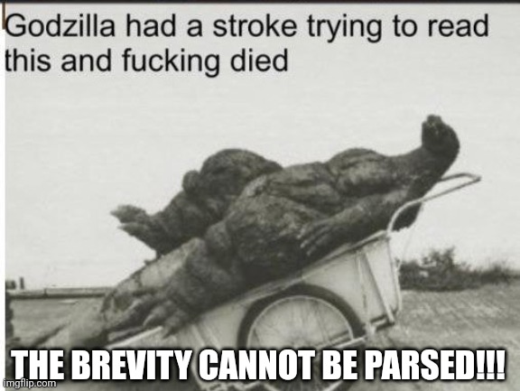 Godzilla | THE BREVITY CANNOT BE PARSED!!! | image tagged in godzilla | made w/ Imgflip meme maker