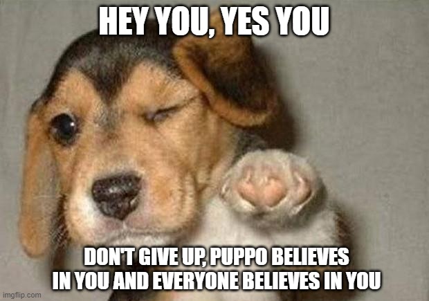 Winking Dog | HEY YOU, YES YOU; DON'T GIVE UP, PUPPO BELIEVES IN YOU AND EVERYONE BELIEVES IN YOU | image tagged in winking dog | made w/ Imgflip meme maker