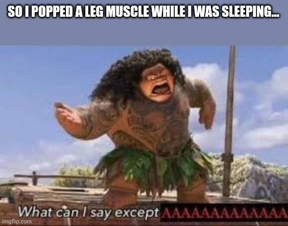 P a i n | SO I POPPED A LEG MUSCLE WHILE I WAS SLEEPING... | image tagged in what can i say except aaaaaaaaaaa | made w/ Imgflip meme maker