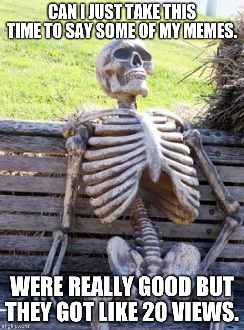 hi | CAN I JUST TAKE THIS TIME TO SAY SOME OF MY MEMES. WERE REALLY GOOD BUT THEY GOT LIKE 20 VIEWS. | image tagged in memes,waiting skeleton | made w/ Imgflip meme maker