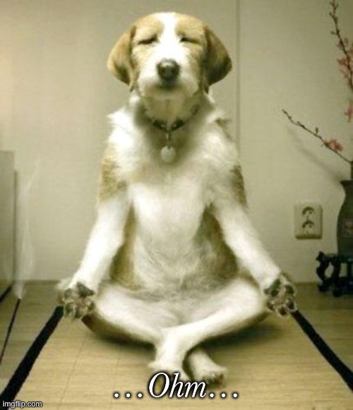 Inner Peace Dog | …Ohm… | image tagged in inner peace dog | made w/ Imgflip meme maker