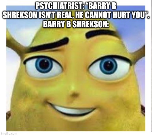  PSYCHIATRIST: “BARRY B SHREKSON ISN’T REAL, HE CANNOT HURT YOU”.
BARRY B SHREKSON: | image tagged in barry b shrekson | made w/ Imgflip meme maker