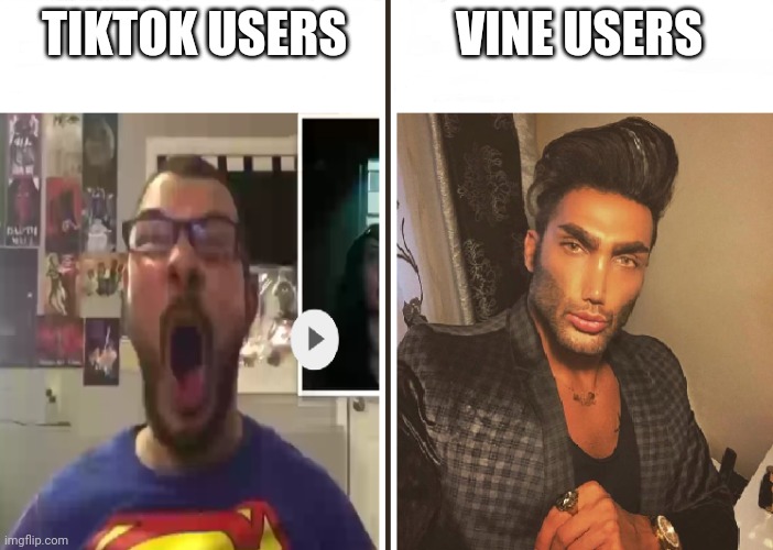 Average Fan vs Average Enjoyer | TIKTOK USERS VINE USERS | image tagged in average fan vs average enjoyer | made w/ Imgflip meme maker