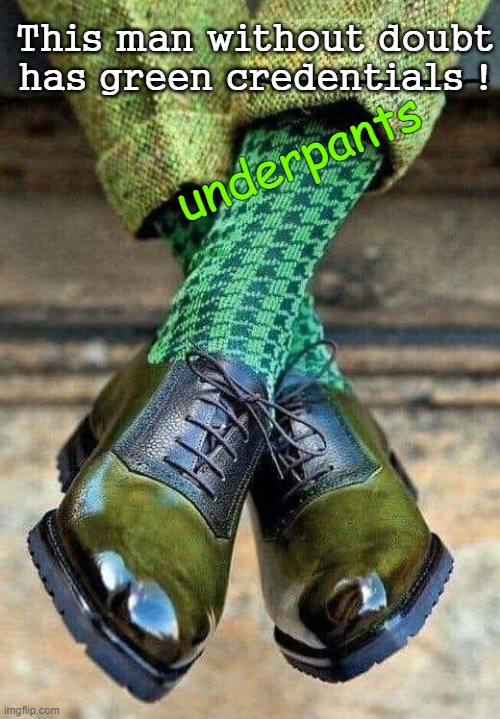 The Green Man |  This man without doubt
has green credentials ! underpants | image tagged in conservation | made w/ Imgflip meme maker