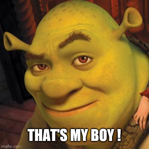 Shrek Sexy Face | THAT'S MY BOY ! | image tagged in shrek sexy face | made w/ Imgflip meme maker