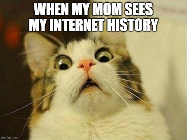 Scared Cat Meme | WHEN MY MOM SEES MY INTERNET HISTORY | image tagged in memes,scared cat | made w/ Imgflip meme maker