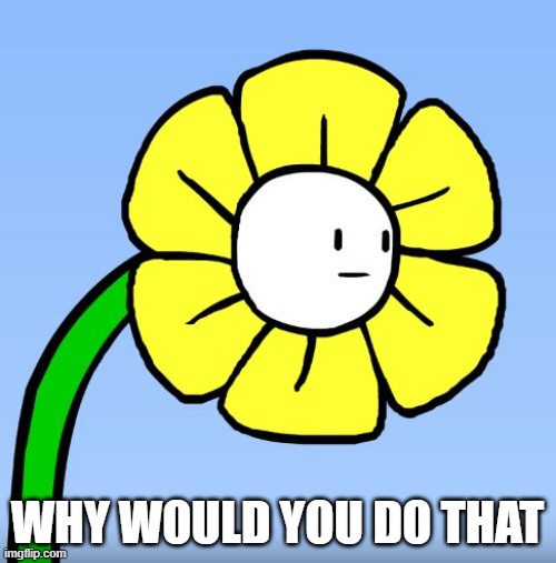 Wut Flowey | WHY WOULD YOU DO THAT | image tagged in wut flowey | made w/ Imgflip meme maker