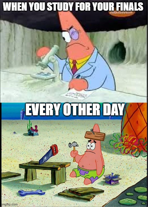 PAtrick, Smart Dumb | WHEN YOU STUDY FOR YOUR FINALS; EVERY OTHER DAY | image tagged in patrick smart dumb | made w/ Imgflip meme maker