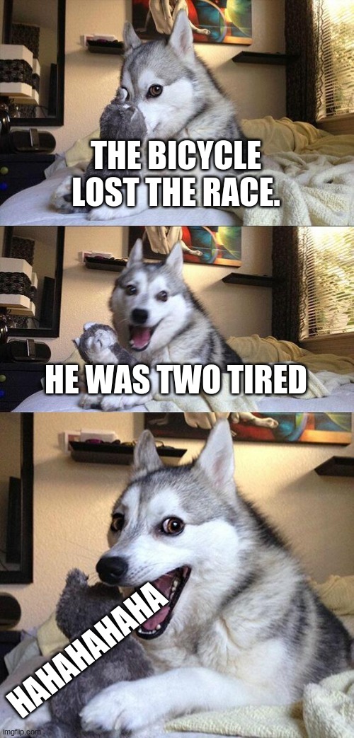 Bad Pun Dog | THE BICYCLE LOST THE RACE. HE WAS TWO TIRED; HAHAHAHAHA | image tagged in memes,bad pun dog | made w/ Imgflip meme maker