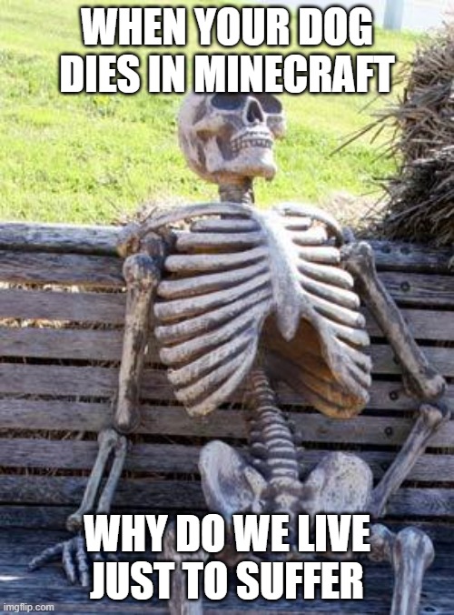 big brain dont live its that simple | WHEN YOUR DOG DIES IN MINECRAFT; WHY DO WE LIVE JUST TO SUFFER | image tagged in memes,waiting skeleton | made w/ Imgflip meme maker
