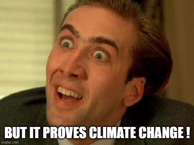 Nicolas cage | BUT IT PROVES CLIMATE CHANGE ! | image tagged in nicolas cage | made w/ Imgflip meme maker