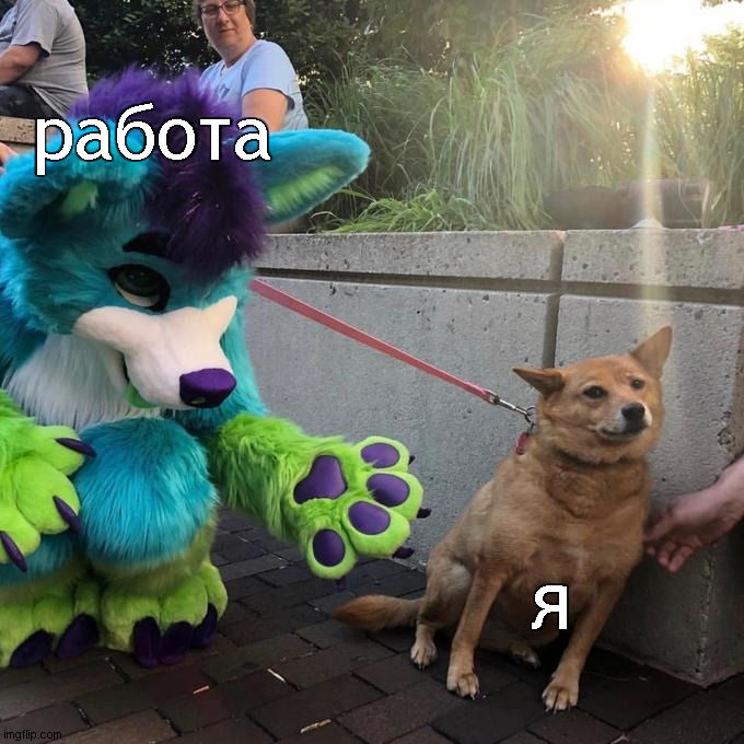 furry scaring dog | работа; я | image tagged in furry scaring dog | made w/ Imgflip meme maker