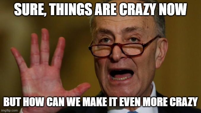 Chuck Schumer | SURE, THINGS ARE CRAZY NOW; BUT HOW CAN WE MAKE IT EVEN MORE CRAZY | image tagged in chuck schumer | made w/ Imgflip meme maker