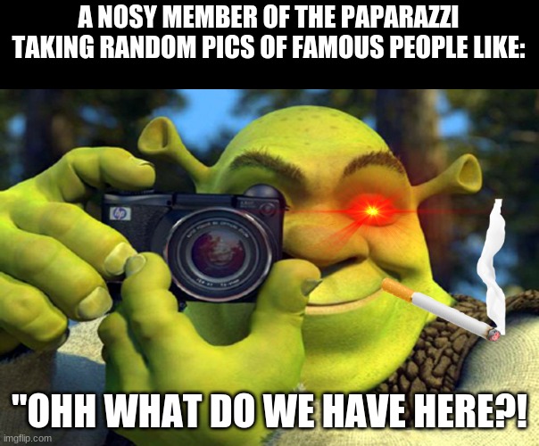 the paparazzi in a nutshell | A NOSY MEMBER OF THE PAPARAZZI TAKING RANDOM PICS OF FAMOUS PEOPLE LIKE:; "OHH WHAT DO WE HAVE HERE?! | image tagged in shrek camera | made w/ Imgflip meme maker