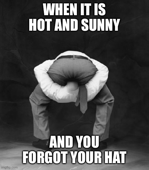 Head Up Ass | WHEN IT IS HOT AND SUNNY AND YOU FORGOT YOUR HAT | image tagged in head up ass | made w/ Imgflip meme maker