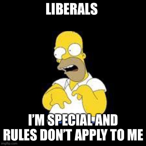 Look Marge | LIBERALS I’M SPECIAL AND RULES DON’T APPLY TO ME | image tagged in look marge | made w/ Imgflip meme maker