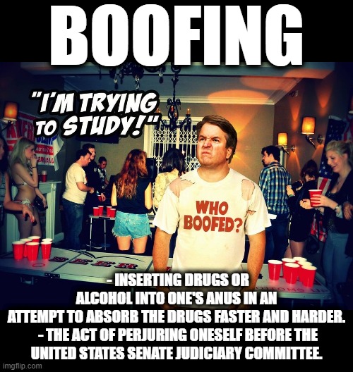 BOOFING |  BOOFING; - INSERTING DRUGS OR ALCOHOL INTO ONE'S ANUS IN AN ATTEMPT TO ABSORB THE DRUGS FASTER AND HARDER.

 - THE ACT OF PERJURING ONESELF BEFORE THE UNITED STATES SENATE JUDICIARY COMMITTEE. | image tagged in boofing,anus,drugs,alcohol,insert,perjure | made w/ Imgflip meme maker