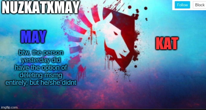 E | btw, the person yesterday did have the option of deleting msmg entirely, but he/she didnt | image tagged in e | made w/ Imgflip meme maker