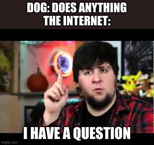 You know | DOG: DOES ANYTHING
THE INTERNET:; I HAVE A QUESTION | image tagged in jontron i have several questions,memes,what da dog doing,oh wow are you actually reading these tags,lol | made w/ Imgflip meme maker