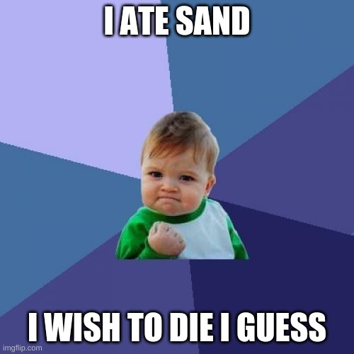 Success Kid | I ATE SAND; I WISH TO DIE I GUESS | image tagged in memes,success kid | made w/ Imgflip meme maker