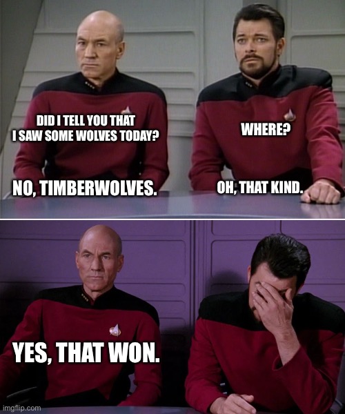 Timberwolves won pun | DID I TELL YOU THAT I SAW SOME WOLVES TODAY? WHERE? NO, TIMBERWOLVES. OH, THAT KIND. YES, THAT WON. | image tagged in picard riker listening to a pun,star trek,funny memes,sports,nba memes,minnesota timberwolves | made w/ Imgflip meme maker