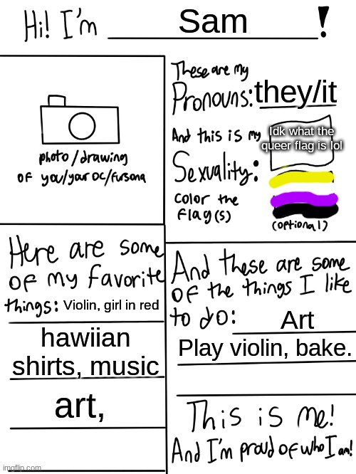 Lgbtq stream account profile | Sam; they/it; Idk what the queer flag is lol; Violin, girl in red; Art; hawiian shirts, music; Play violin, bake. art, | image tagged in lgbtq stream account profile | made w/ Imgflip meme maker