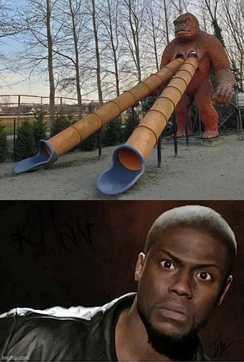 Nothing says "Fun" like a double nipple gorilla slide!!. | image tagged in memes,kevin hart,slide,gorilla,funny memes | made w/ Imgflip meme maker