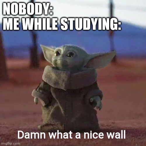 Baby Yoda | NOBODY:
ME WHILE STUDYING:; Damn what a nice wall | image tagged in baby yoda | made w/ Imgflip meme maker