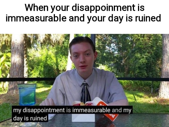 My day is ruined | When your disappoinment is immeasurable and your day is ruined | image tagged in my day is ruined | made w/ Imgflip meme maker