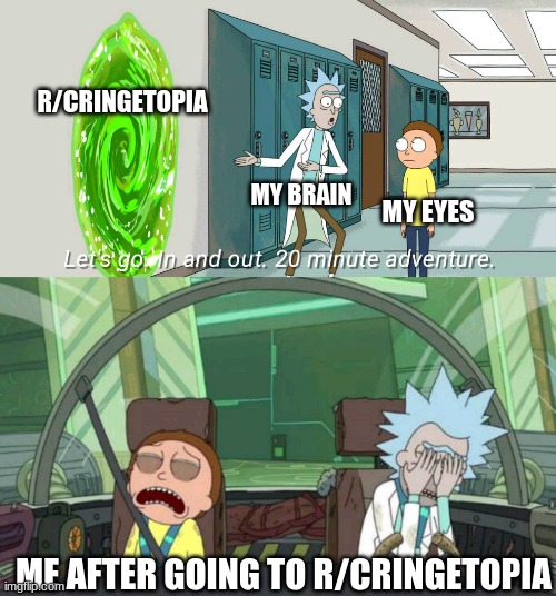 Well it is all cringe... | R/CRINGETOPIA; MY BRAIN; MY EYES; ME AFTER GOING TO R/CRINGETOPIA | image tagged in 20 minute adventure rick morty | made w/ Imgflip meme maker