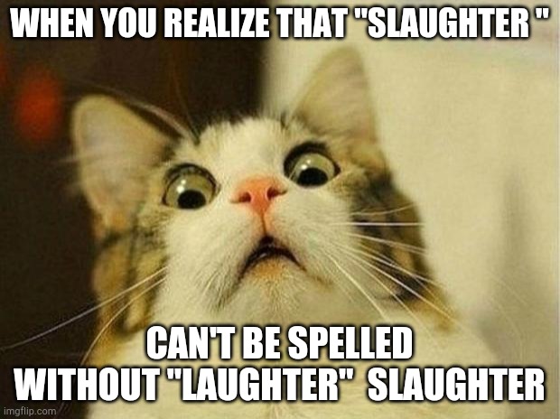 Scared Cat Meme | WHEN YOU REALIZE THAT "SLAUGHTER "; CAN'T BE SPELLED WITHOUT "LAUGHTER"  SLAUGHTER | image tagged in memes,scared cat | made w/ Imgflip meme maker