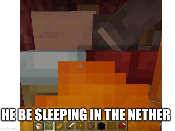 wut | HE BE SLEEPING IN THE NETHER | image tagged in wut,tag,ayo,are you reading deez,deez nuts | made w/ Imgflip meme maker