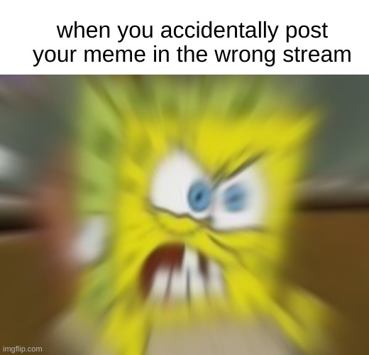 when you accidentally post your meme in the wrong stream | image tagged in memes,funny,fun,funny memes,imgflip,spongebob | made w/ Imgflip meme maker