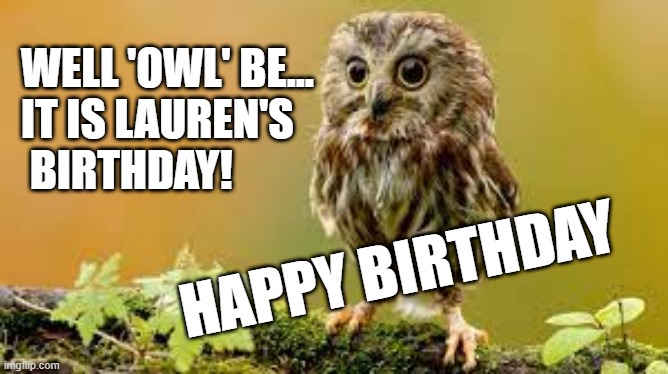 Happy Birthday Lauren | WELL 'OWL' BE...
IT IS LAUREN'S
 BIRTHDAY! HAPPY BIRTHDAY | image tagged in owl,happy birthday,lauren | made w/ Imgflip meme maker